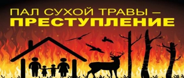 Берегите природу: опасности палов сухой травы!.
